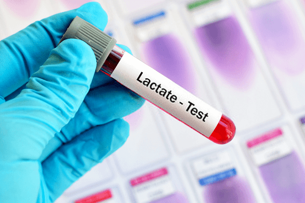 Lactate là gì? Lactate máu bình thường là bao nhiêu? - META.vn